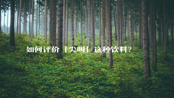 如何评价「尖叫」这种饮料？